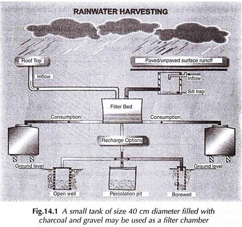 rainwater harvesting essay in simple english