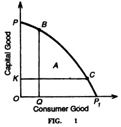 Consumer Good and Capital Good