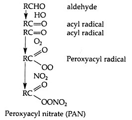 Probable mechanism for PAN formation