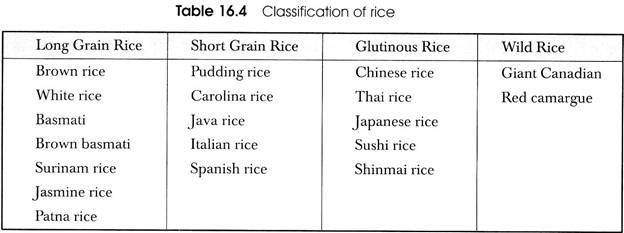 Classification of Rice