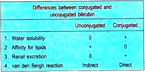 Difference between Conjugated and Unconjugated Bilirubin