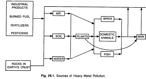 Sources of Heavy Metal Pollution 