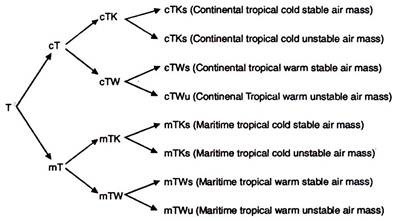 Tropical Air Mass