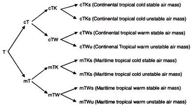 Tropical Air Mass