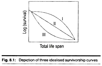 Depiction of three idealised survivorship curves