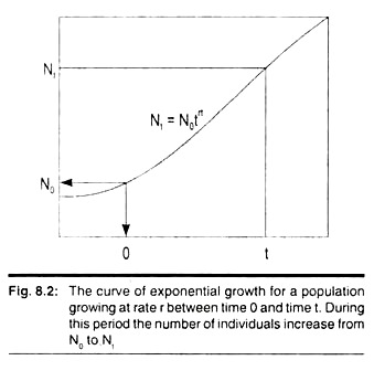 The curve of exponential growth for a population growing at rate r between time 0 and t