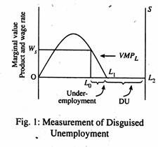 Measurement of Disguised Unemployment