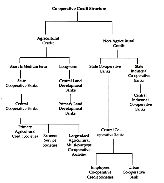Co-operative Credit Structure