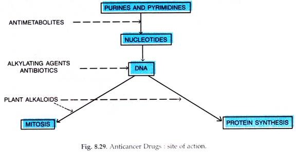 Anticancer Drugs