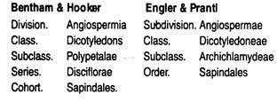 Systematic Position