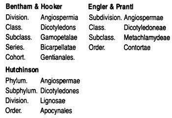 Systematic Position