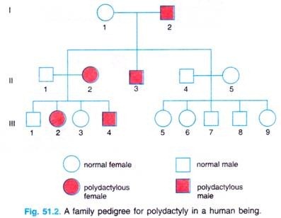 A family pedigree for polydactyly in a human being