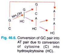 Conversion of GC pair in to AT pair 