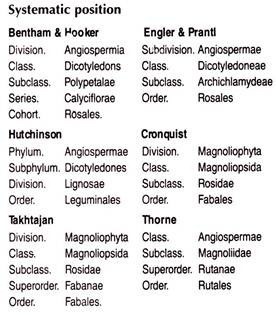 Systematic Position