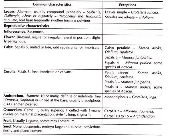 Distinctive Features