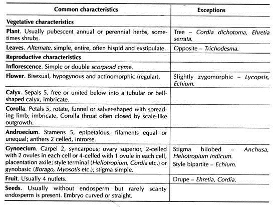 Distinctive Features