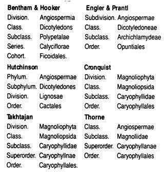 Systematic Position