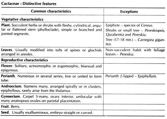 Distinctive Features