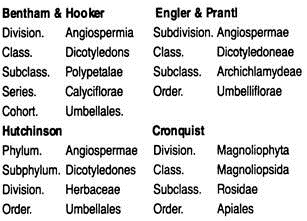 Systematic Position