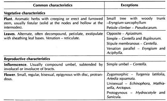 Distinctive Features