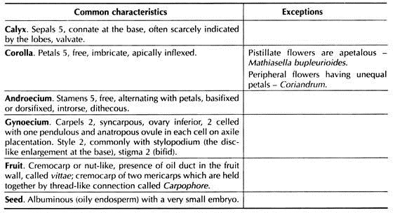 Distinctive Features