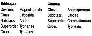 Systematic Position