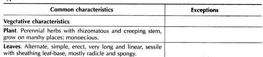 Systematic Position