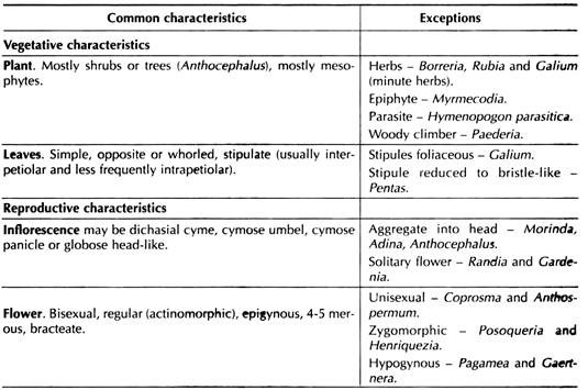 Disinctive Features