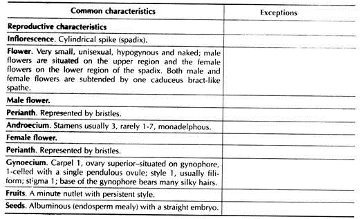 Distinctive Features