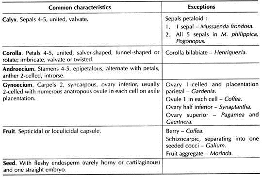 Disinctive Features