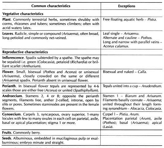 Distinctive Features