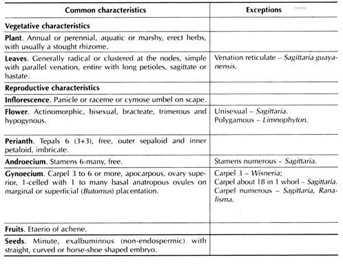 Distinctive Features