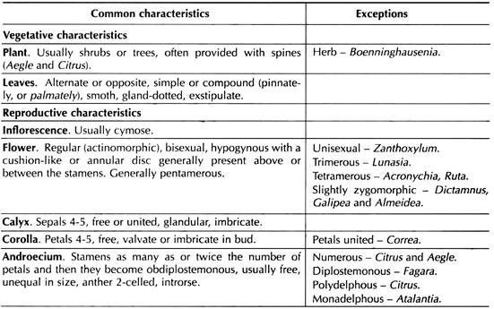 Distinctive Features