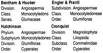 System Position