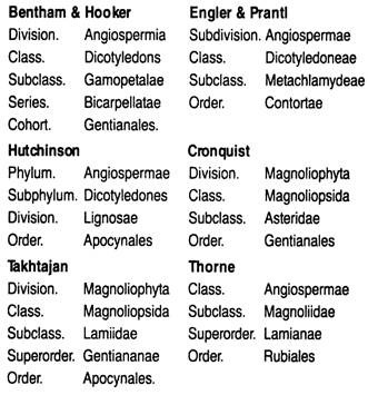 Systematic Position