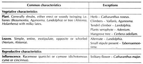 Distinctive Features