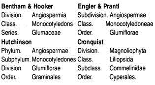 Systematic Position