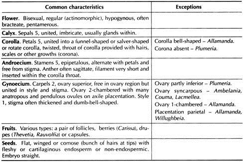 Distinctive Features