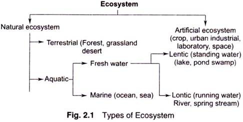 Types of Ecosystem