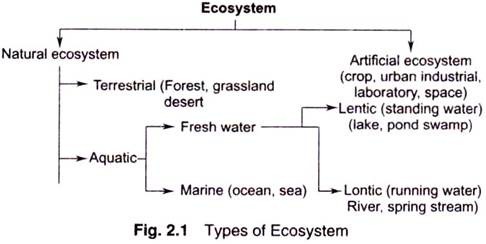 Types of Ecosystem