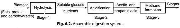 Anaerobic Digestion System 