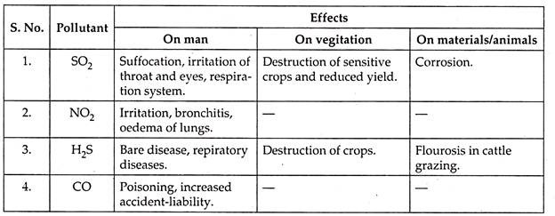 The Effects of Pollutants on Environment