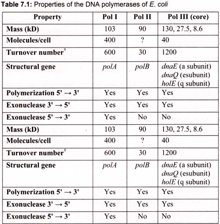 Properties of the DNA Polymerases of E. Coli