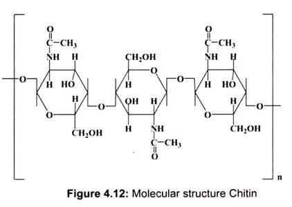 Molecular Sructure Chitin