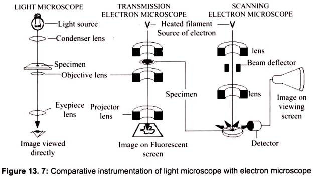 Comparative Instrumentation of Light Microscope with Electron Microscope