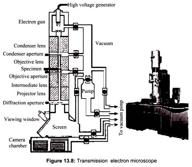 Transmission Electron Microscope