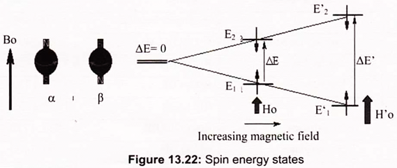 Spin Energy States