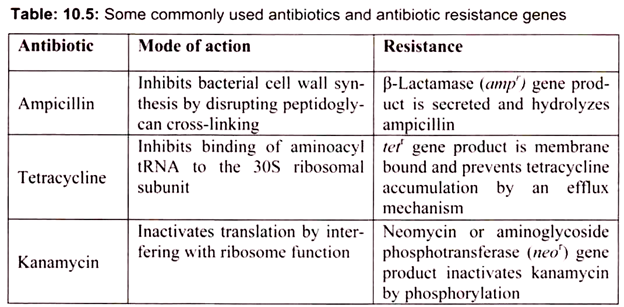 Some Commonly Used Antibiotics and Antibiotic Resistance Genes
