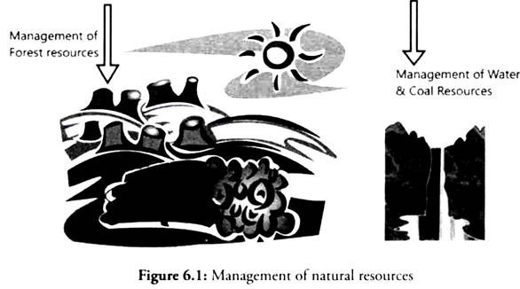 Management of Natural Resources