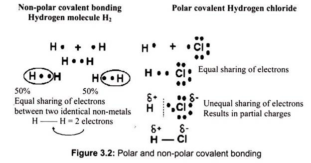 Polar and Non-Polar Covalent Bonding